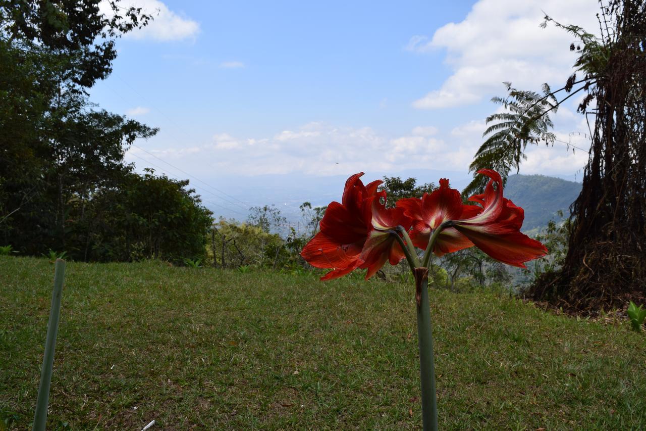 Mirador Valle Del General La Ese エクステリア 写真