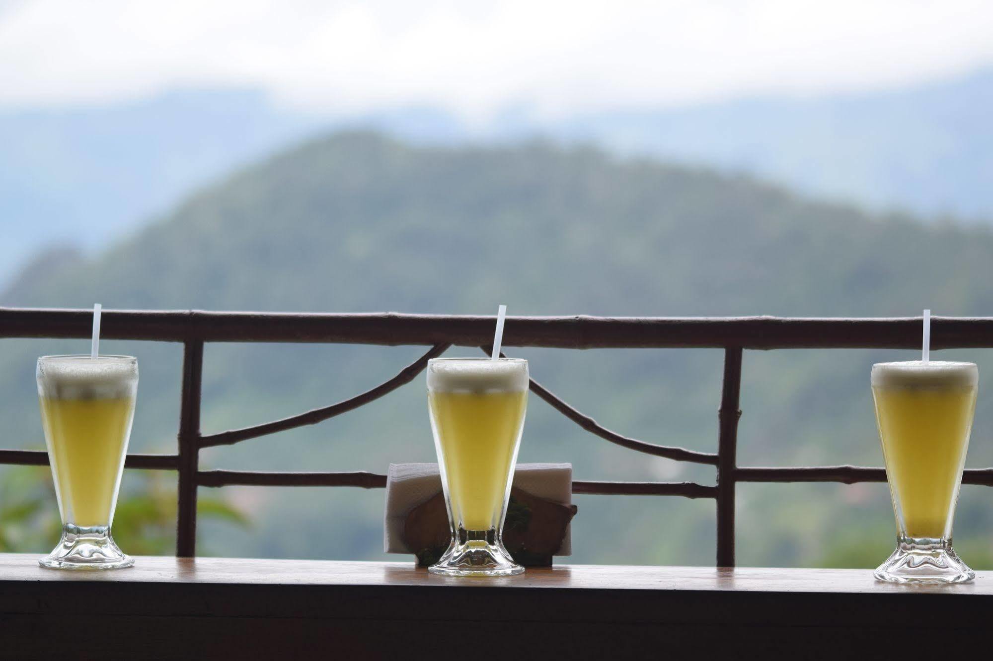 Mirador Valle Del General La Ese エクステリア 写真