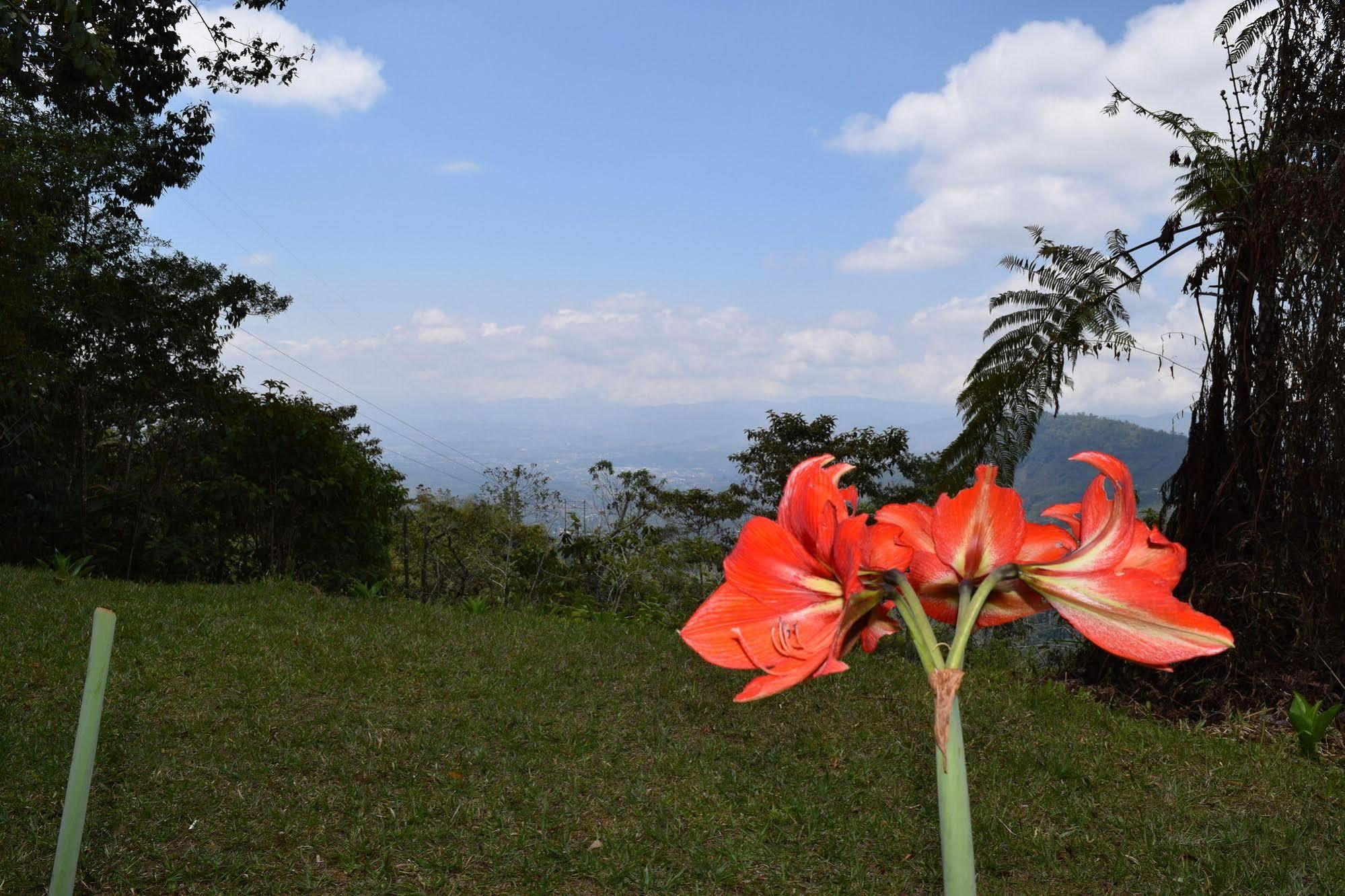 Mirador Valle Del General La Ese エクステリア 写真